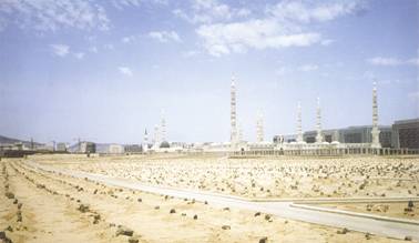 rehber 42